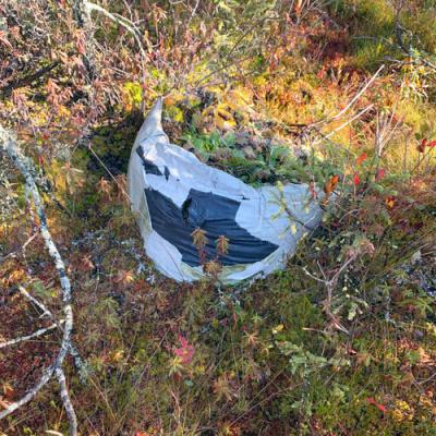 B337e84de8752b27eda3a12363109e80